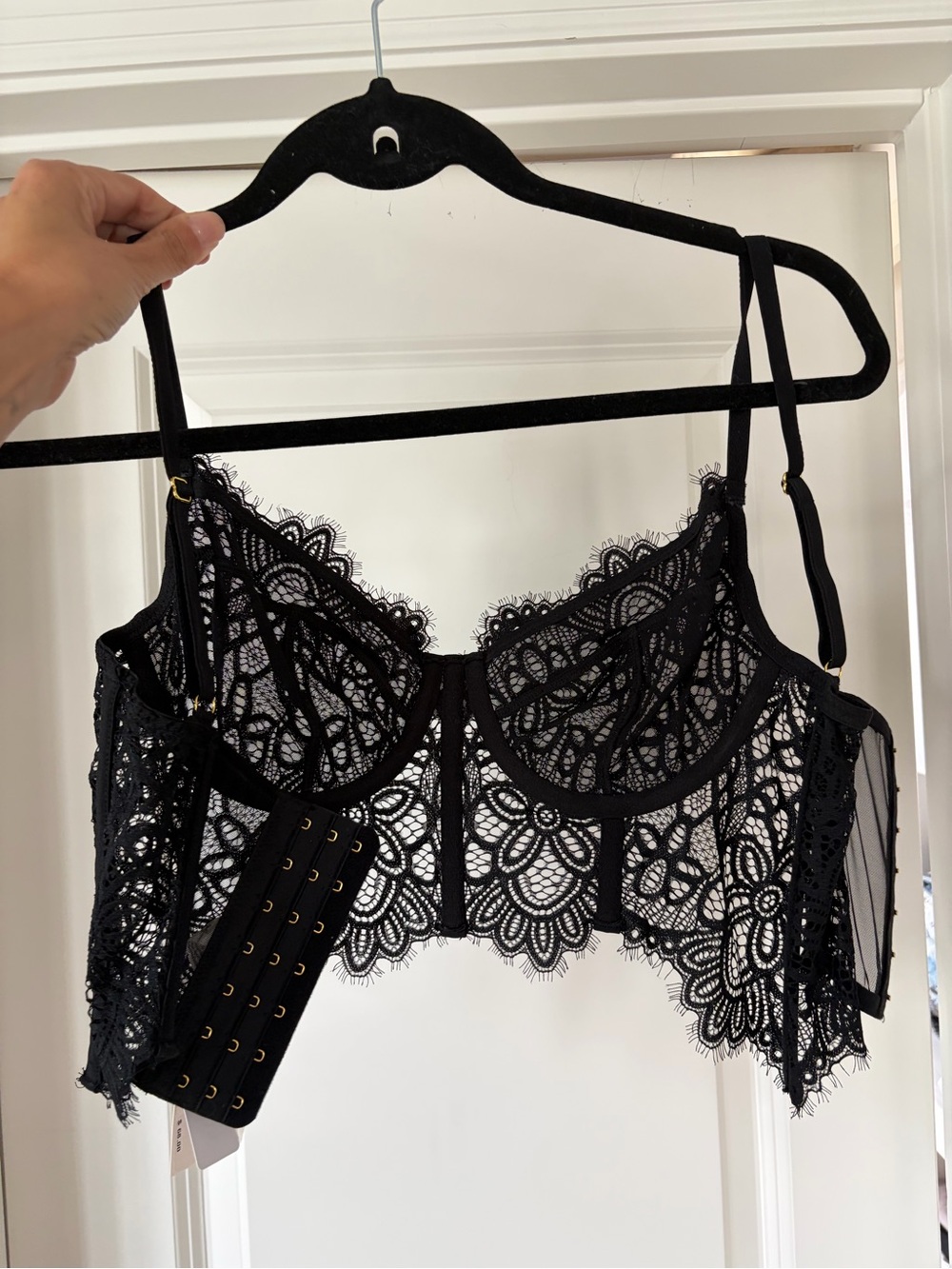 NWT Anthropologie lace bustier - Picture 3 of 12